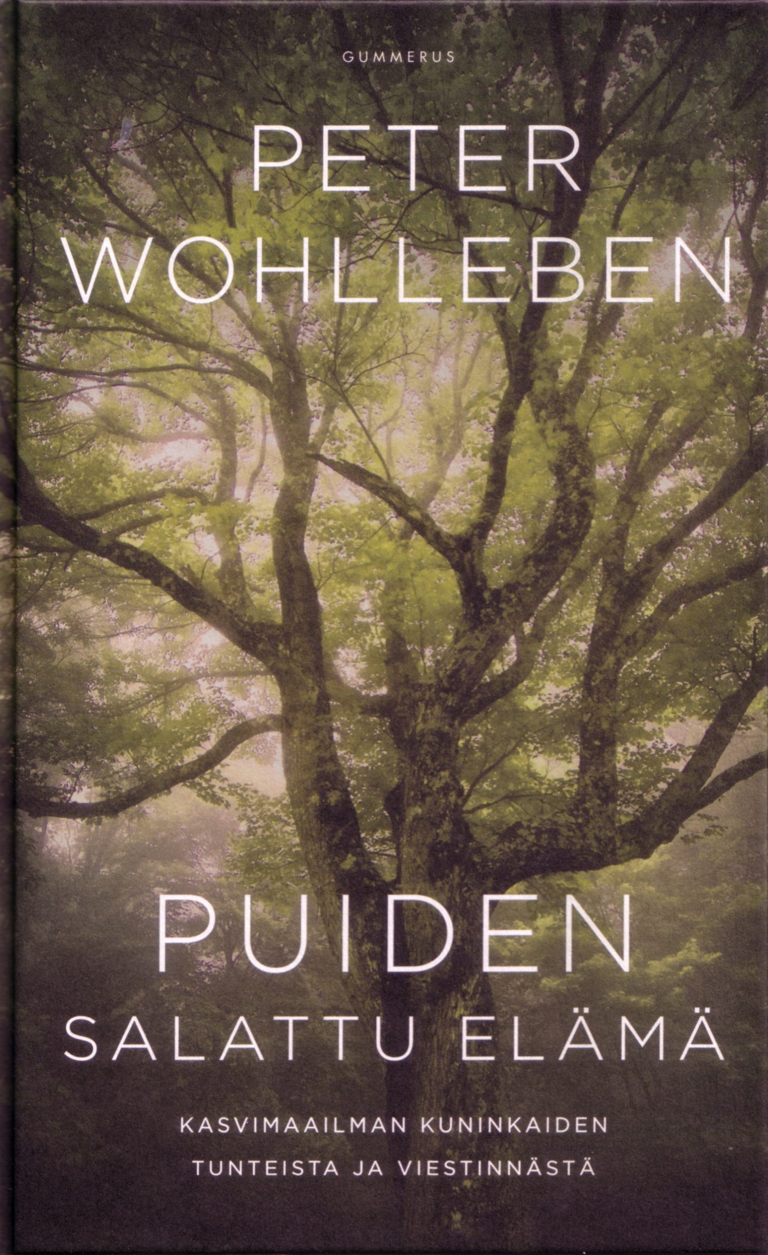 Puiden salattu elämä
