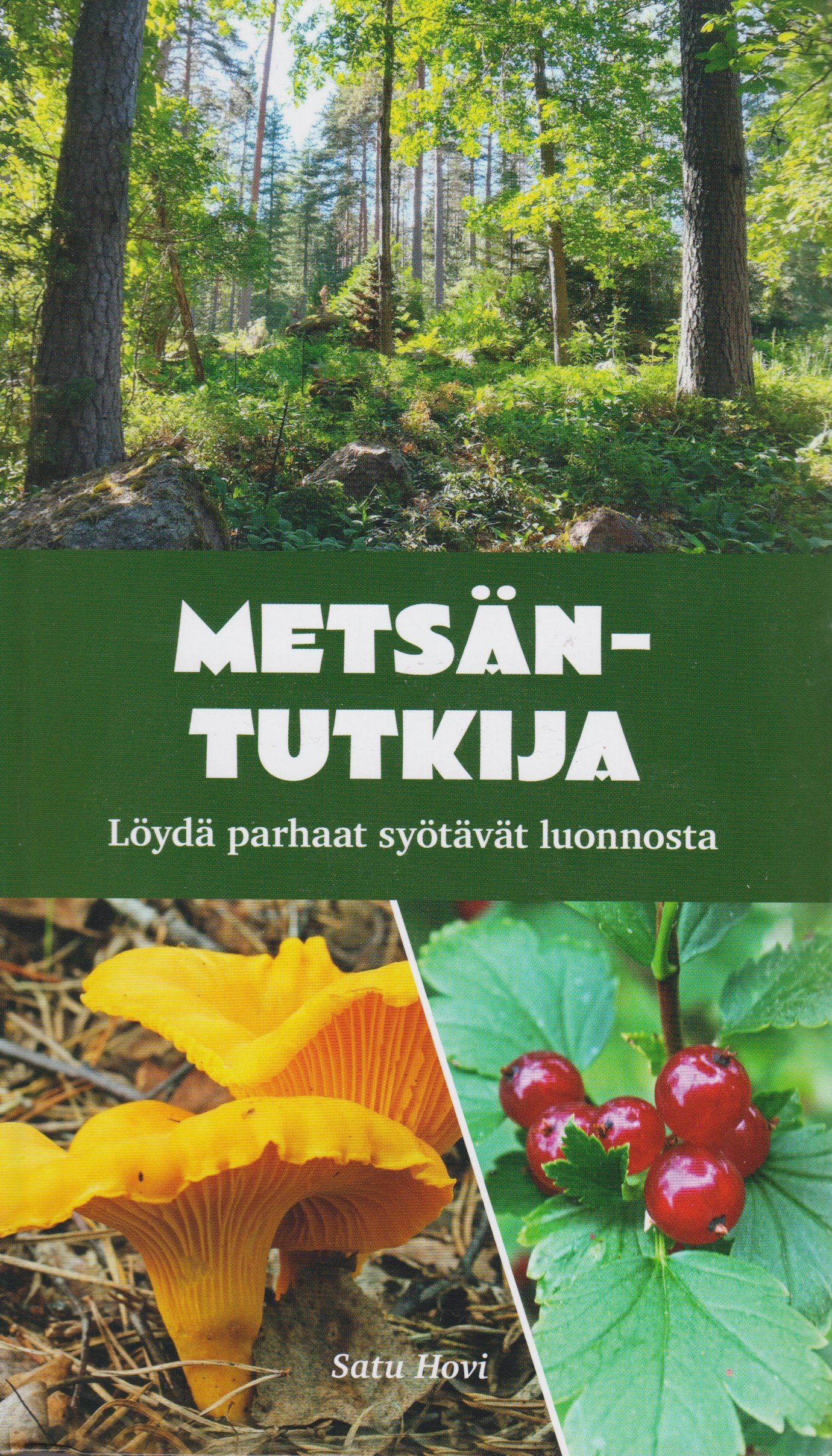 Metsäntutkija
