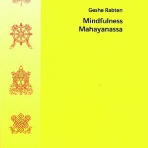 Mindfulness Mahayanassa