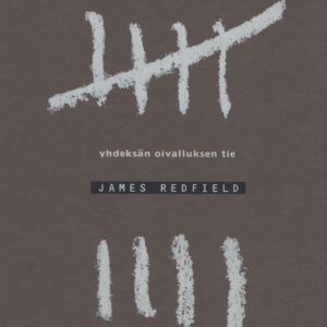 Yhdeksän oivalluksen tie