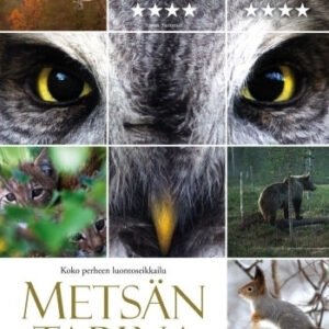 Metsän tarina DVD