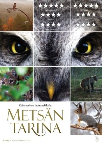 Metsän tarina DVD