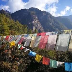 Sivilisaatiot ja kulttuurit