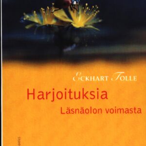 Harjoituksia läsnäolon voimasta