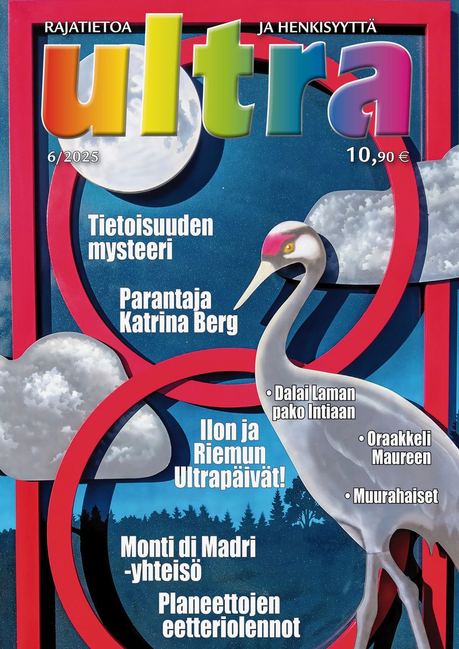 Vuosikerta 2025 - Image 7