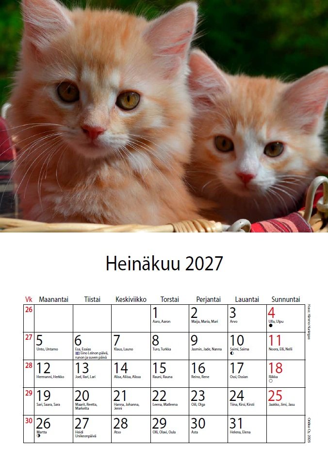 Oranssien kissanpentujen kalenteri 2027 - Image 2