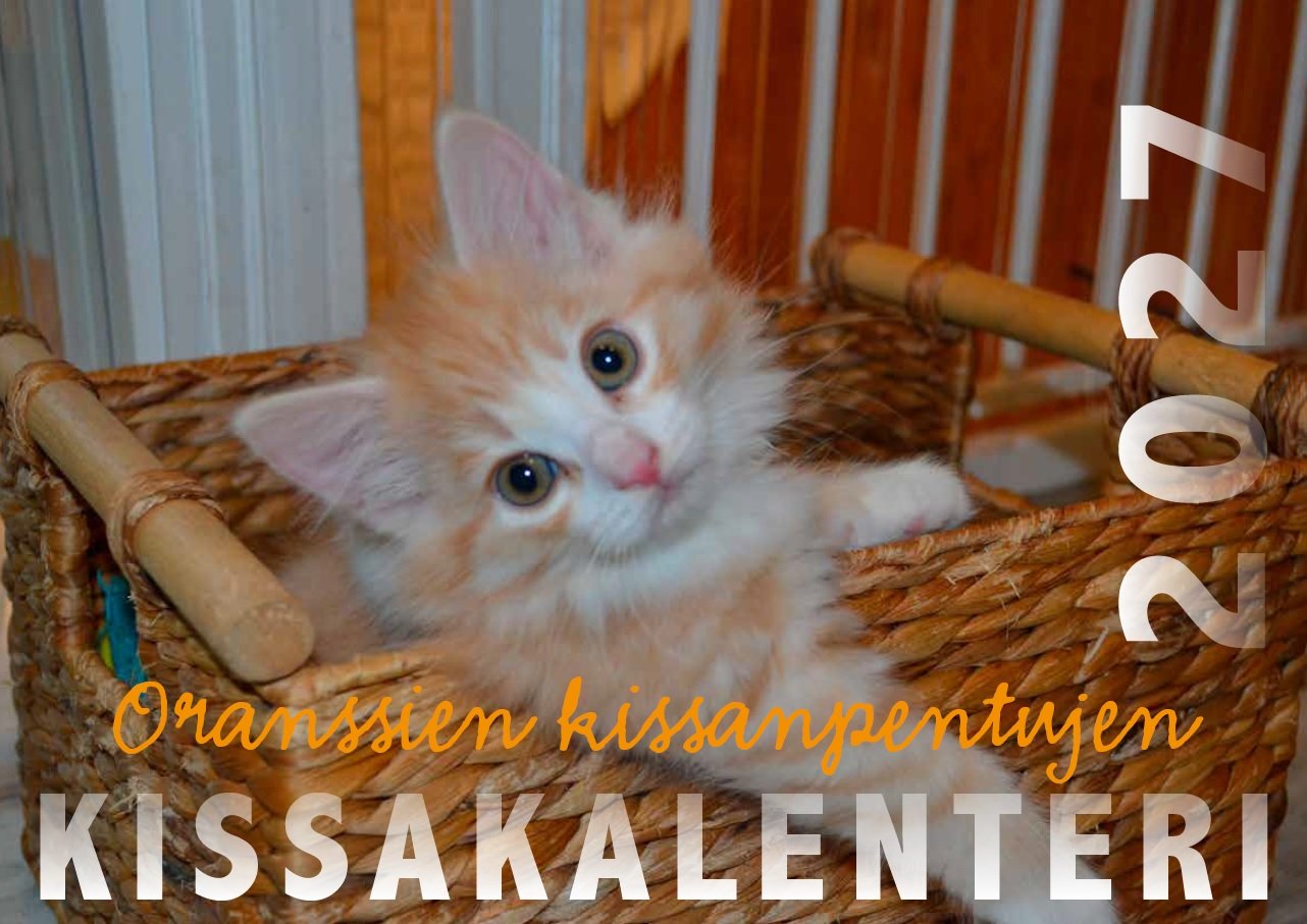 Oranssien kissanpentujen kalenteri 2027